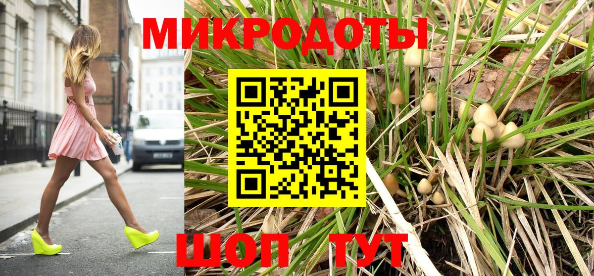 Псилоцибиновые грибы ЛСД  Псилоцибиновые грибы GOLDEN TEACHER  Алейск  Вход с VPN 